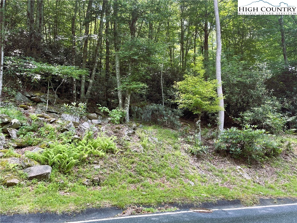 Image number 3 for the current listing