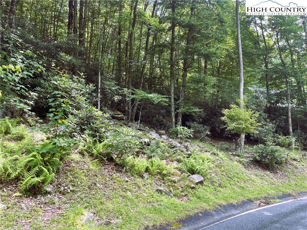 Image number 4 for the current listing