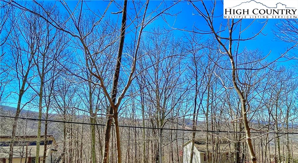 Image number 1 for the current listing