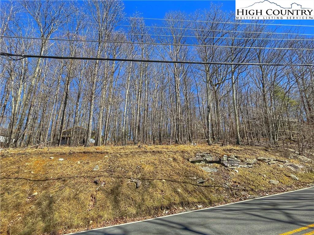 Image number 3 for the current listing
