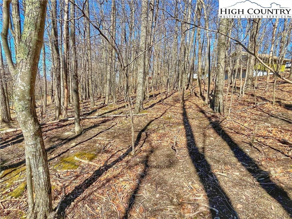 Image number 5 for the current listing