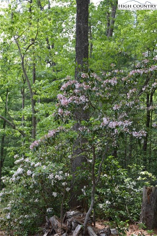 Image number 3 for the current listing