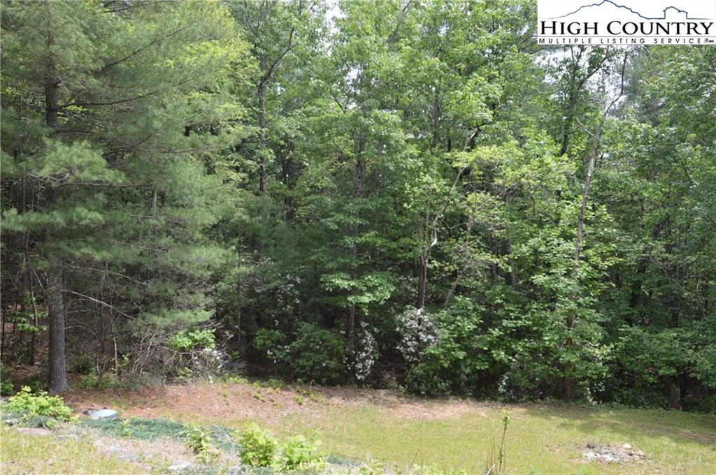 Image number 5 for the current listing