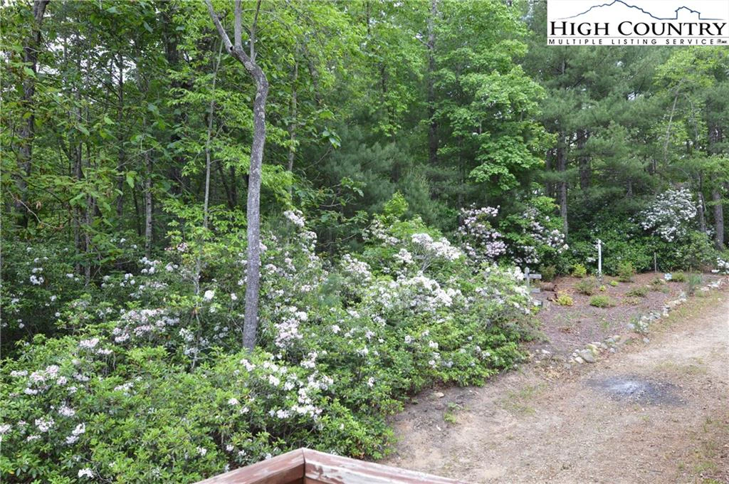 Image number 6 for the current listing