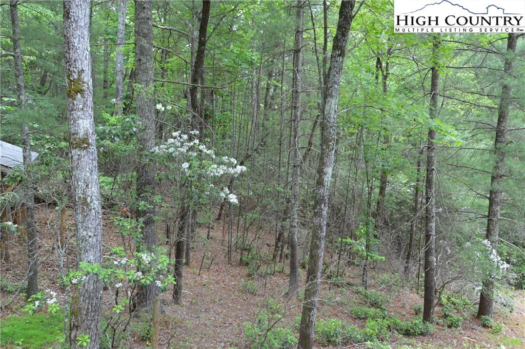Image number 8 for the current listing