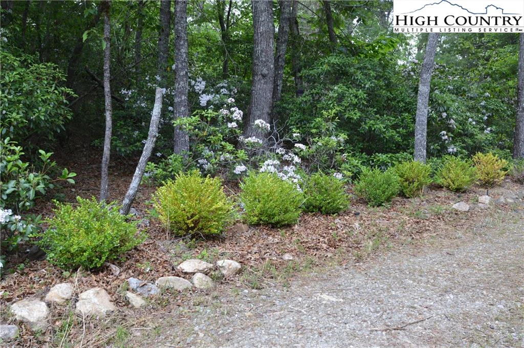 Image number 12 for the current listing