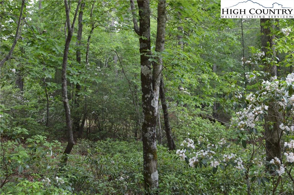 Image number 13 for the current listing
