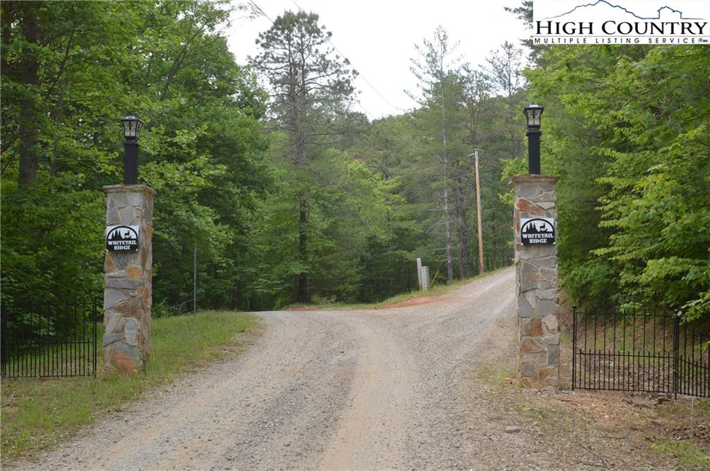 Image number 2 for the current listing