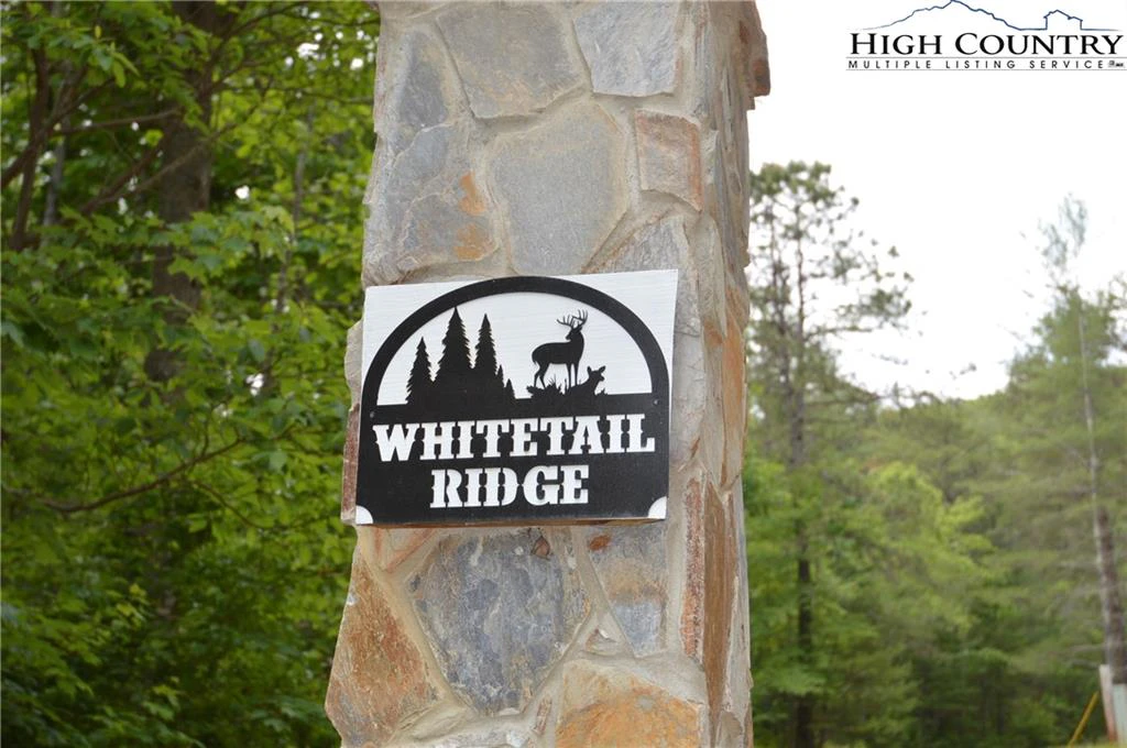 Image number 15 for the current listing