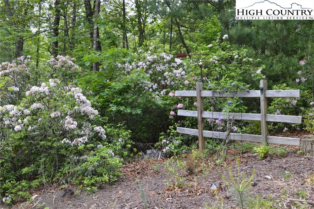 Image number 16 for the current listing