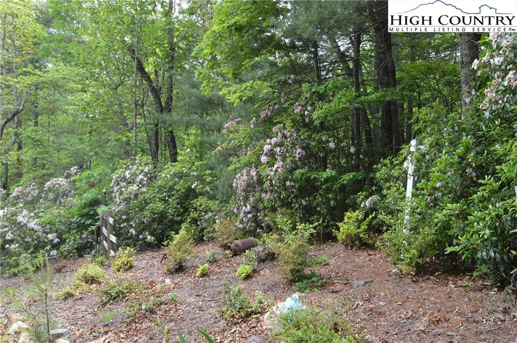 Image number 18 for the current listing