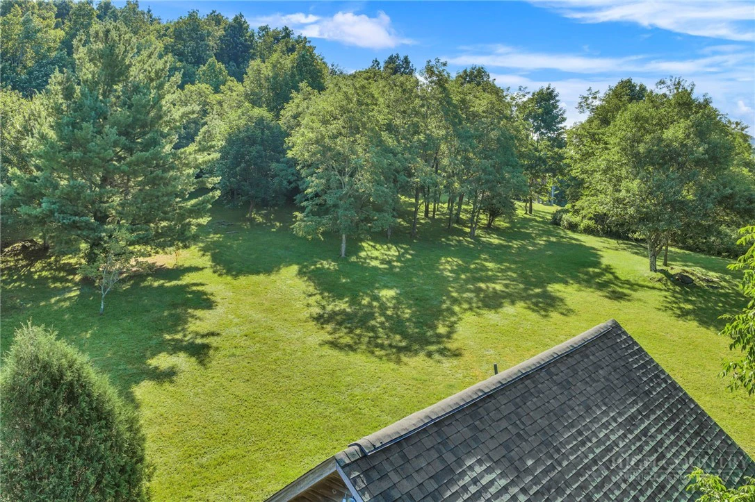 Image number 12 for the current listing
