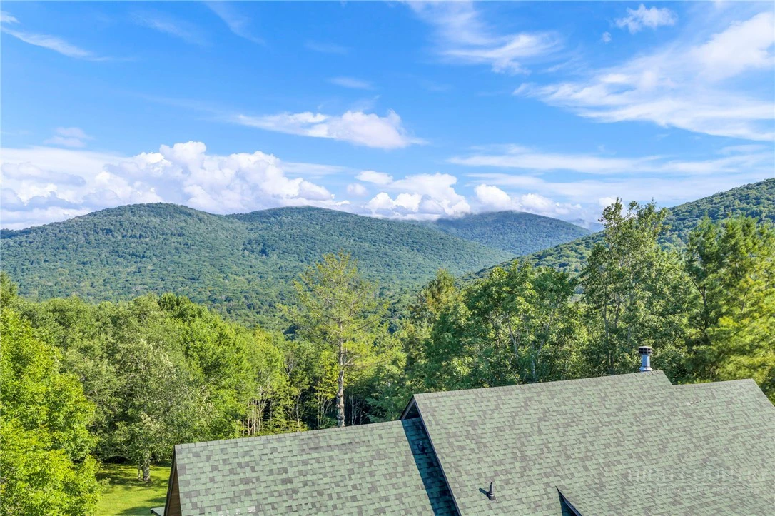 Image number 14 for the current listing