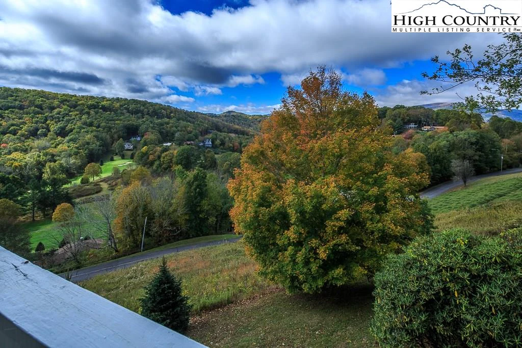 Image number 2 for the current listing
