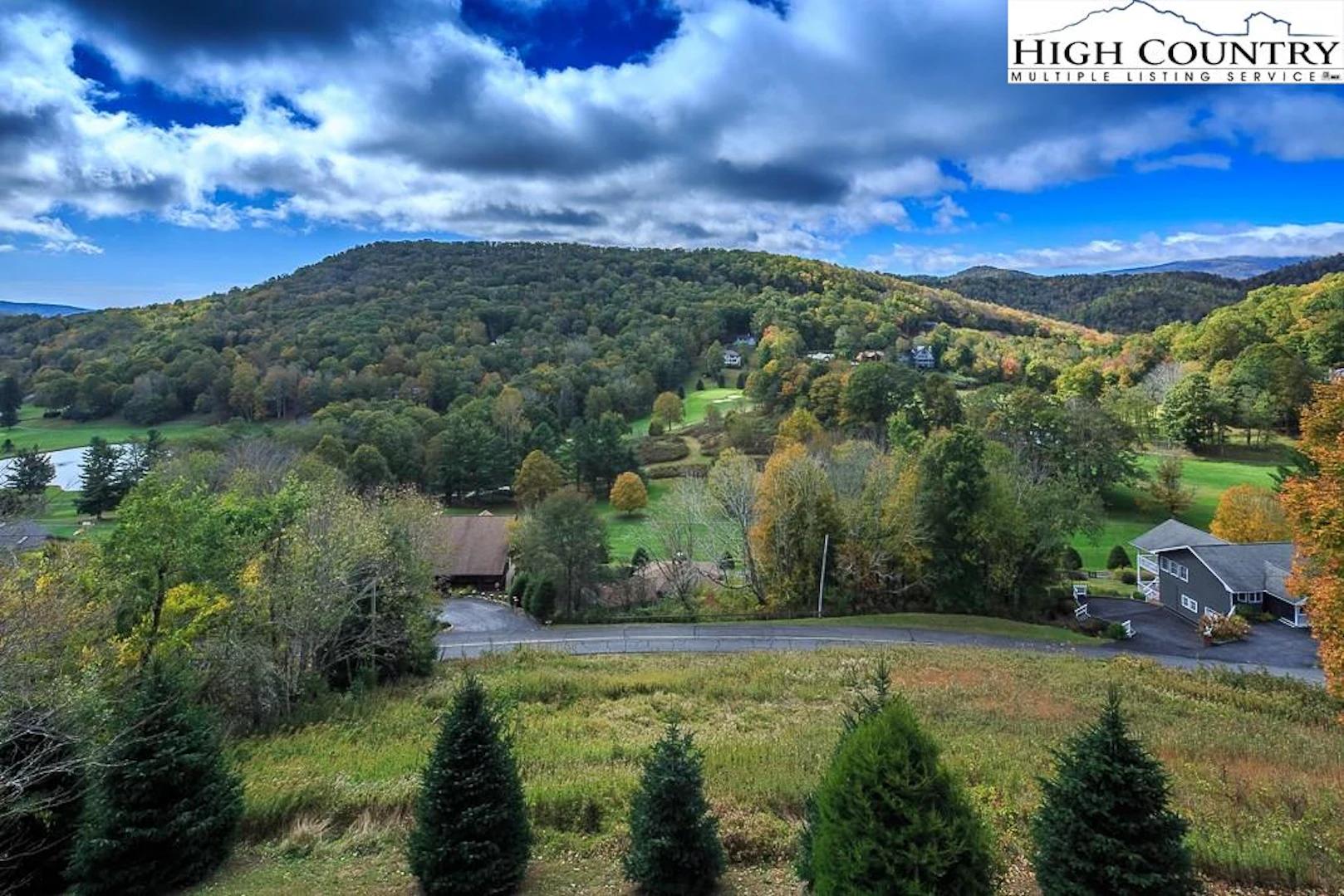 Image number 12 for the current listing