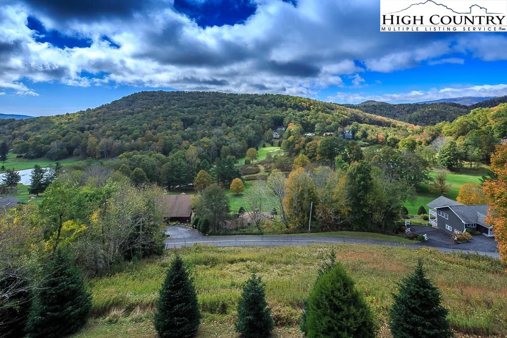 Image number 12 for the current listing