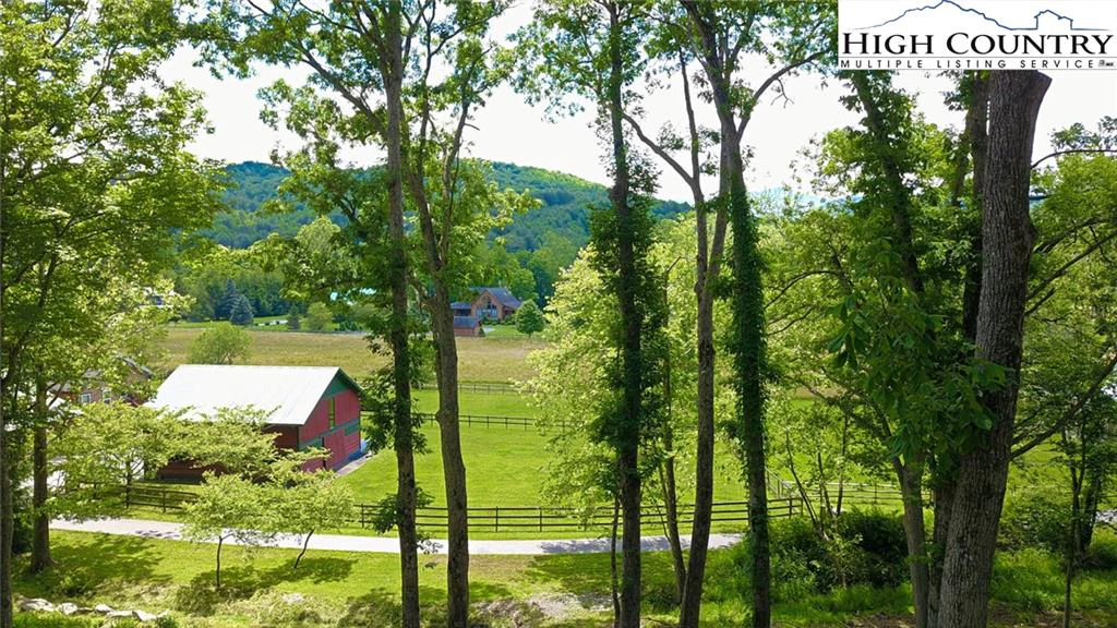 Image number 19 for the current listing
