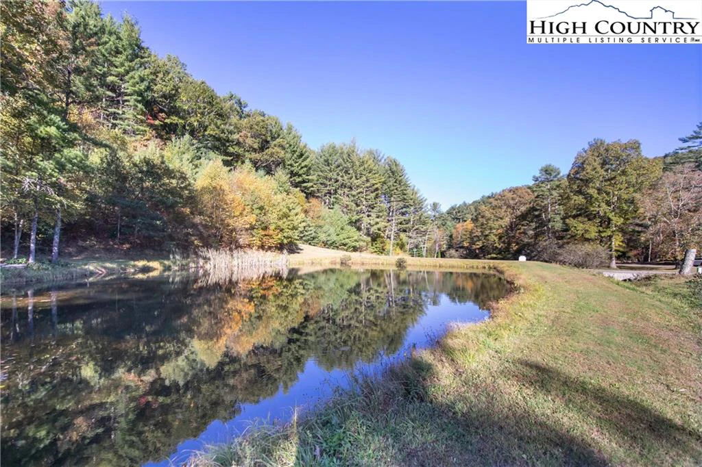 Image number 16 for the current listing