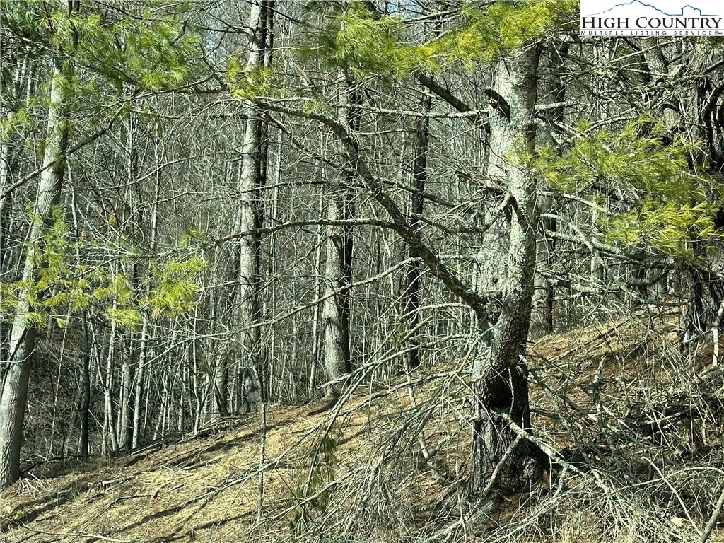 Image number 21 for the current listing