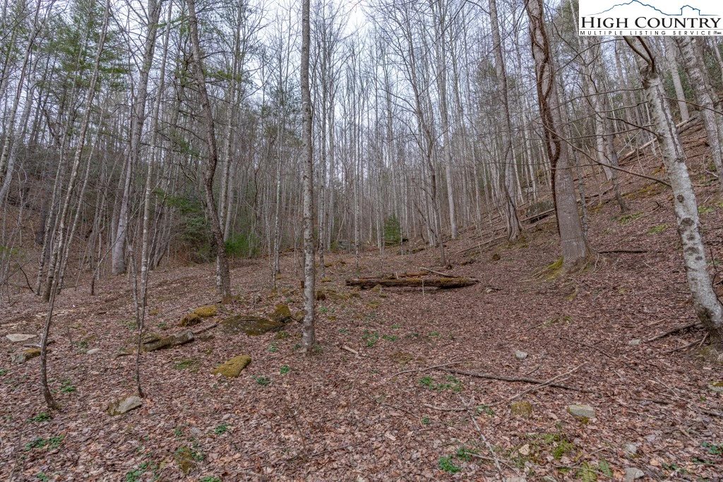 Image number 14 for the current listing