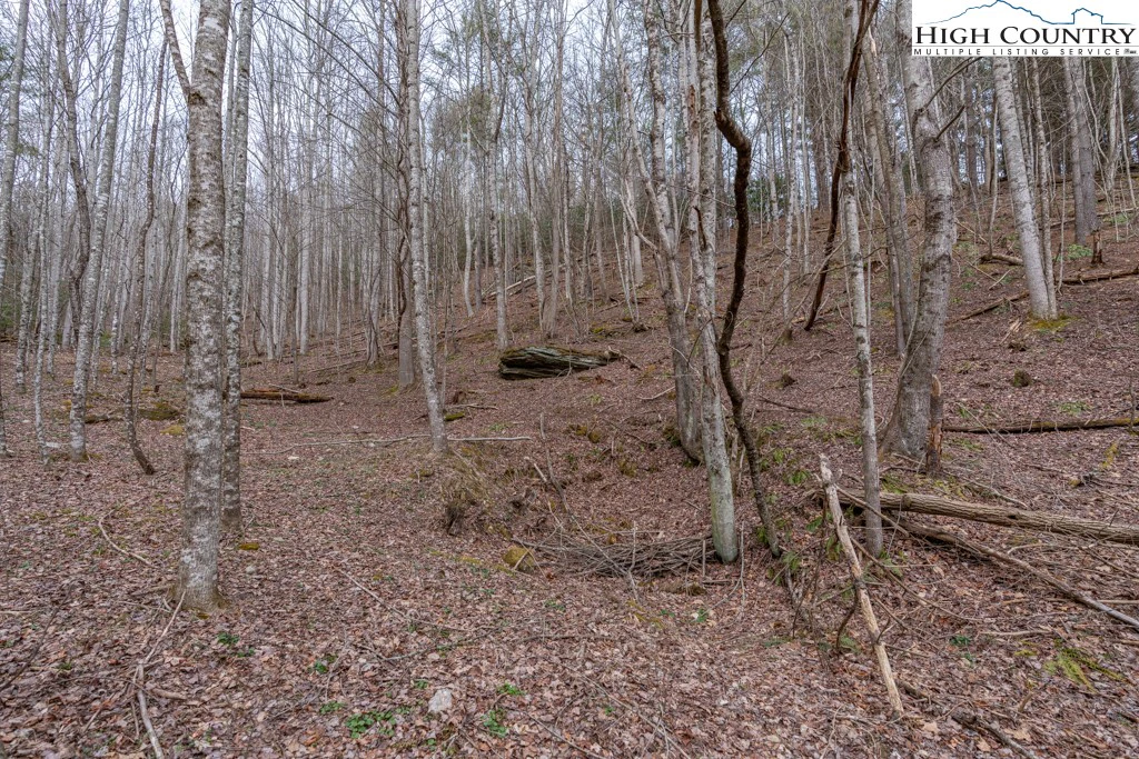 Image number 12 for the current listing