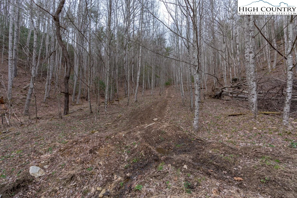 Image number 11 for the current listing