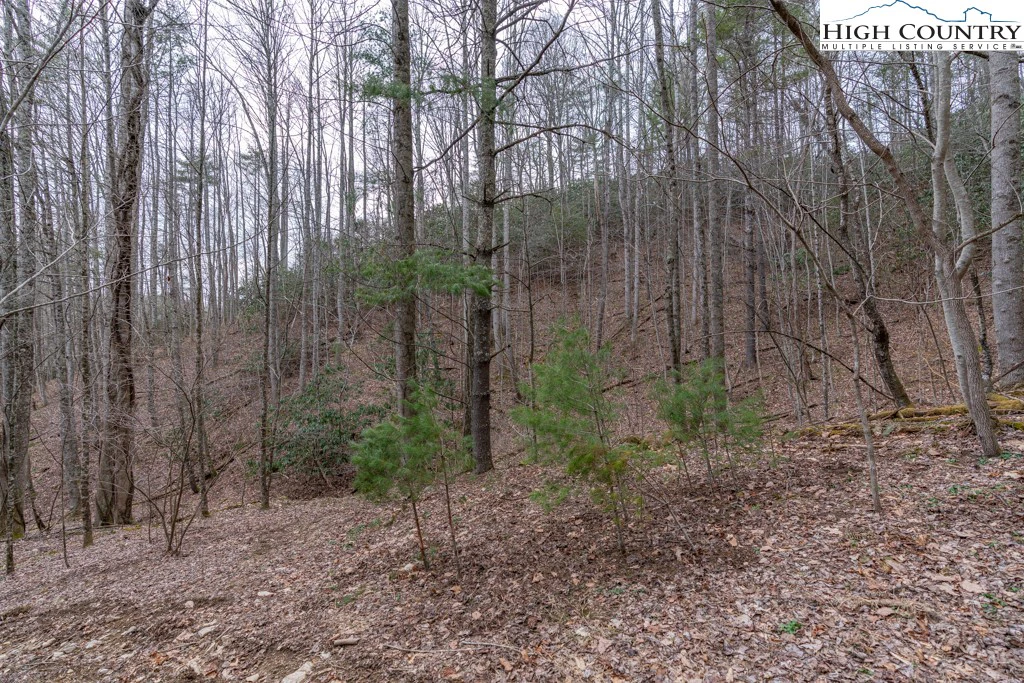 Image number 9 for the current listing