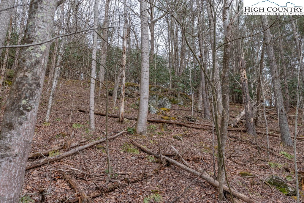 Image number 6 for the current listing