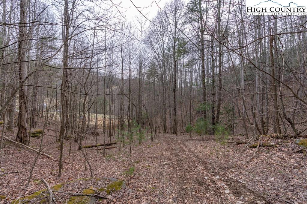 Image number 5 for the current listing