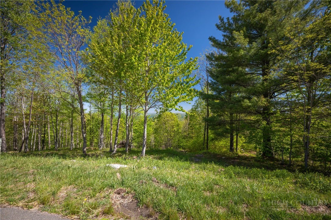 Image number 1 for the current listing