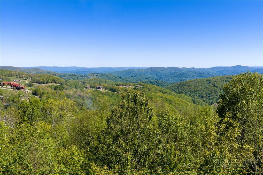 Image number 2 for the current listing