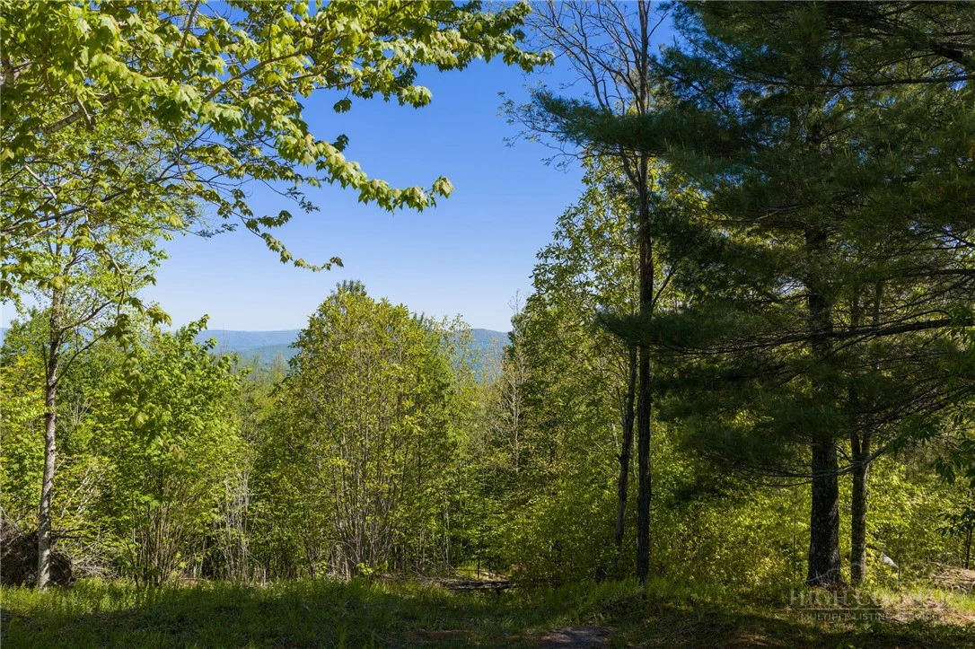 Image number 4 for the current listing