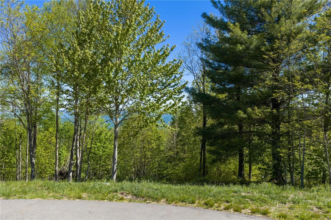Image number 7 for the current listing