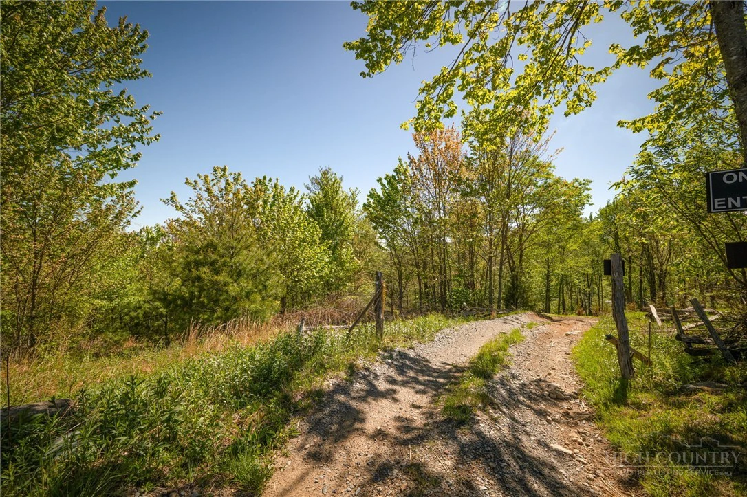 Image number 8 for the current listing