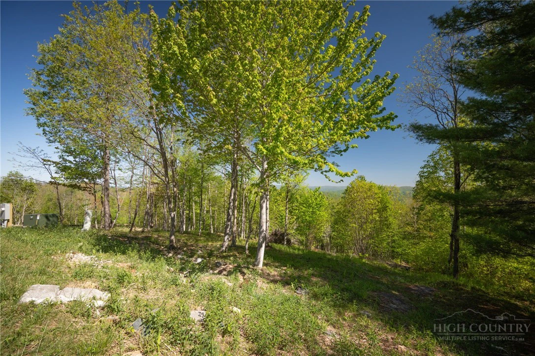 Image number 10 for the current listing