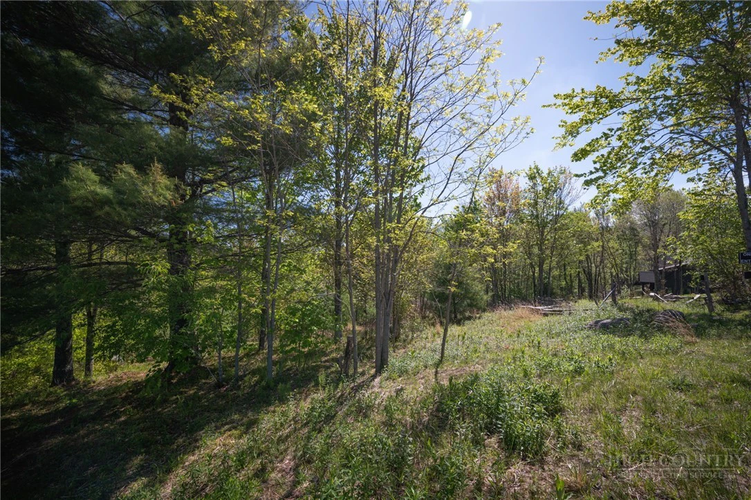 Image number 11 for the current listing