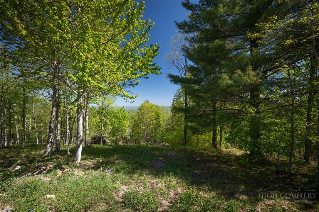 Image number 12 for the current listing