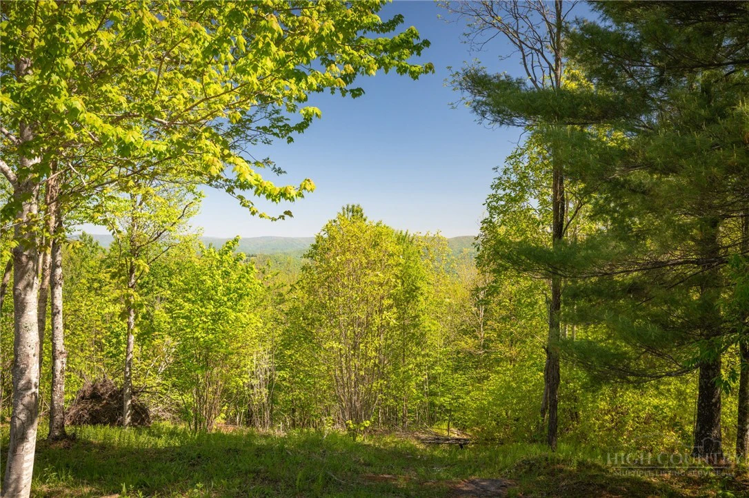 Image number 13 for the current listing