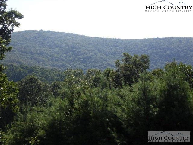 Image number 2 for the current listing
