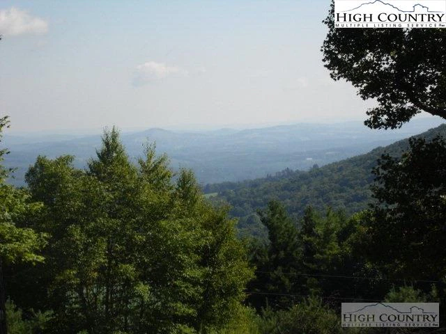 Image number 12 for the current listing
