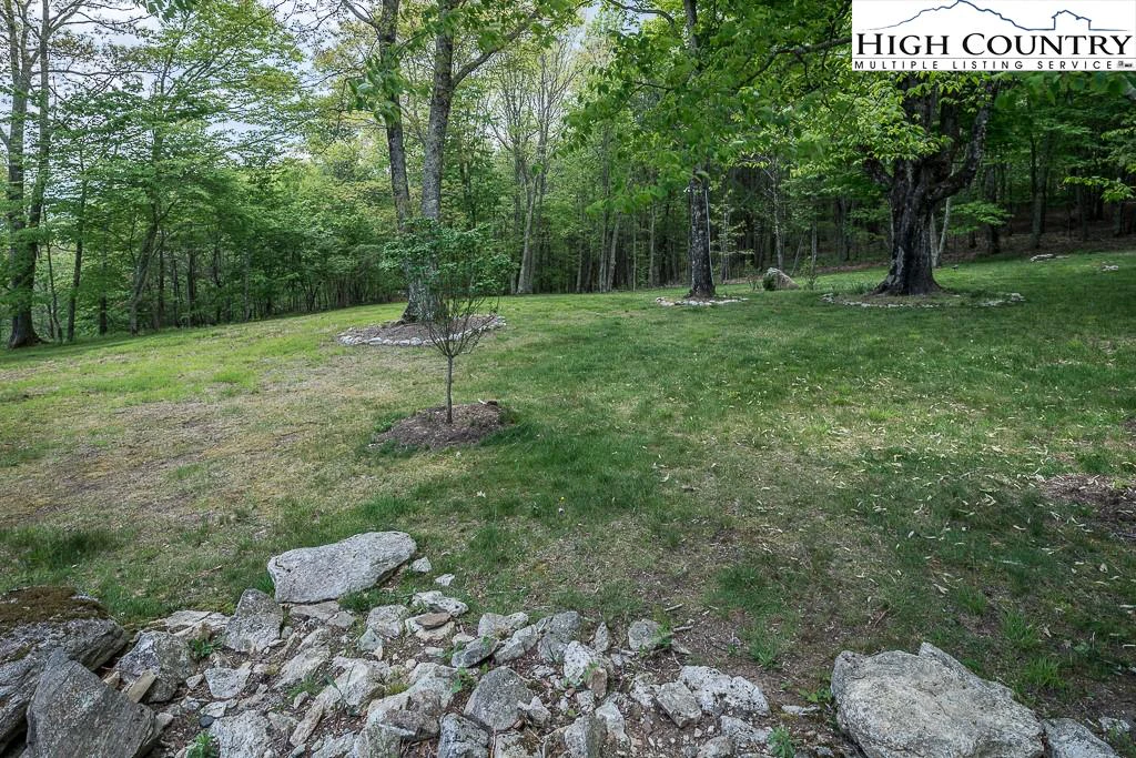 Image number 4 for the current listing