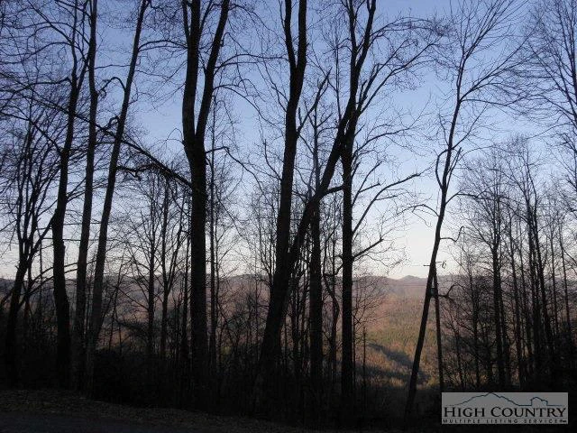Image number 11 for the current listing