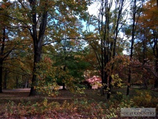 Image number 10 for the current listing