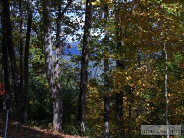 Image number 7 for the current listing