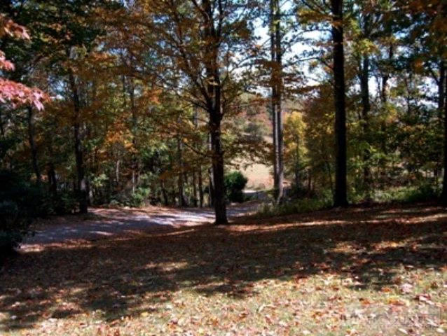 Image number 6 for the current listing