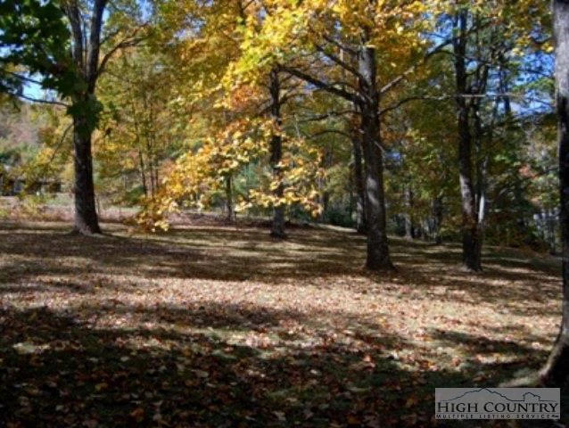 Image number 4 for the current listing