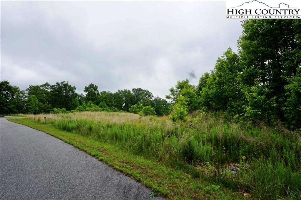 Image number 1 for the current listing