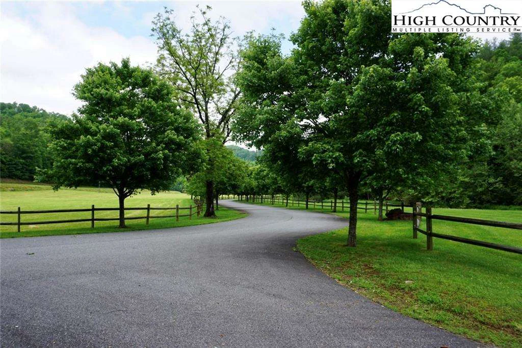 Image number 14 for the current listing