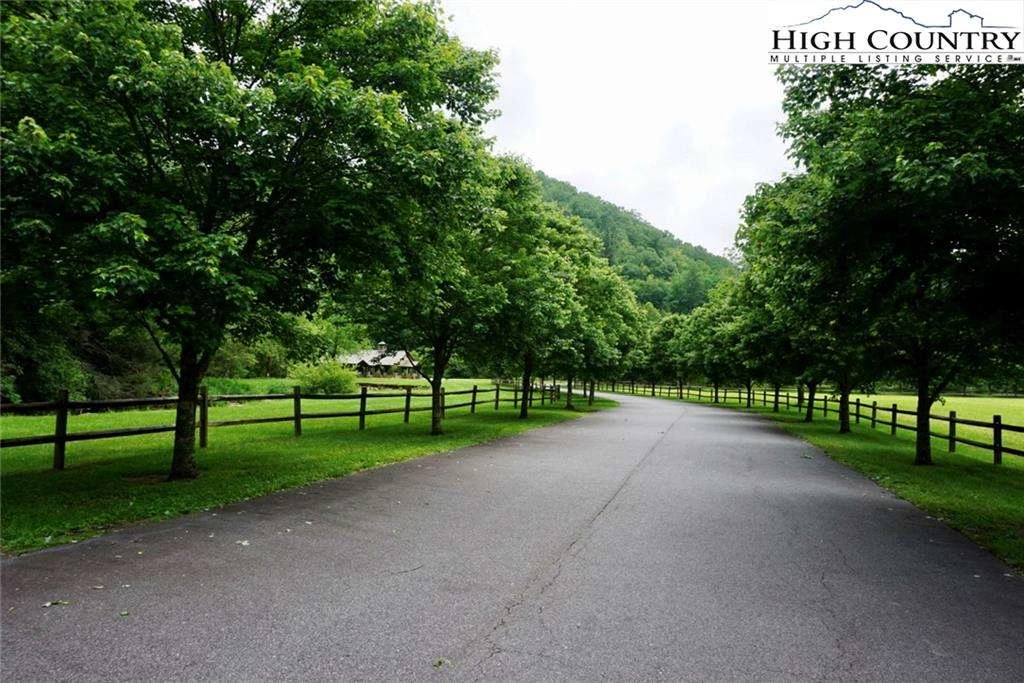 Image number 13 for the current listing