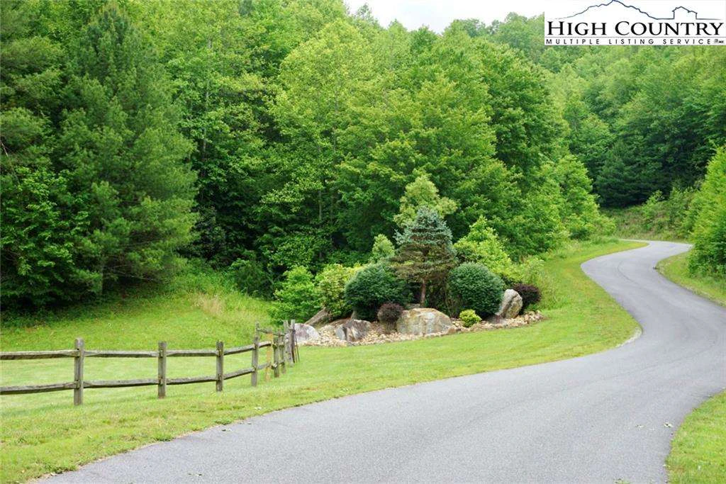 Image number 5 for the current listing